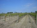 Burgenland2007 20932270