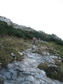 Berg wandern 29772240