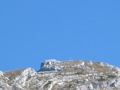 Berg wandern 29772449