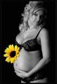 Fotoshooting Babybauch!!!! 33808131