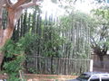 Nicaragua 45729795