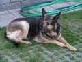 Cindy - 25.09.1996 bis 18.07.2007 20569335