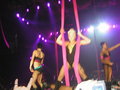 16.12.2006 P!NK-KONZERT Salzburg 13277844