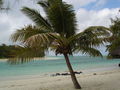 Mauritius 2006 42871838