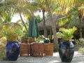 Mauritius 2006 42872232