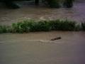 Hochwasser 2006 8405474