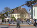 Maibaum aufstön 2008 52609633