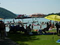 Klopeinersee 09 68617555