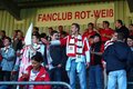 Wahre SKV Fans 22005141