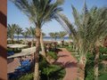 Sharm El Sheikh 07 19049750