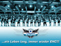 EHC LIWEST BLACK WINGS LINZ 40988638