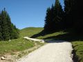 Urlaub in Tirol 64747201