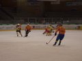 Eishockey 11306695