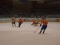 Eishockey 11306697