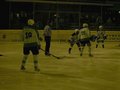 Eishockey 11306702