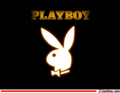 *pLayboY.. 7566173