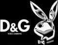 D&G / PlAyBoY 16251433