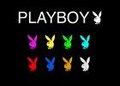 D&G / PlAyBoY 16251434