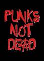 _Punks_not_Dead_ - Fotoalbum