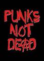 ^^PUNK^^ 6619561