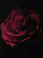 aRt gALLerY 3282910