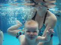 Babyschwimmen 37784698