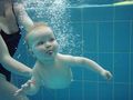 Babyschwimmen 50835601