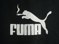 _Puma_vorsicht-bissig_ - Fotoalbum