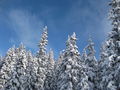 Skitag Flachau Zauchensee 53712237