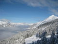 Skitag Flachau Zauchensee 53712239