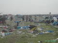 novarock 2006 7238969