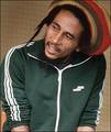 *--> bob marley <--* 9674957