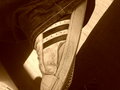 Freunde ein leben lang 21881275