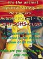 Simpsons 14065670