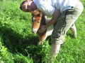 Tiere und kleine Tiere 59954470