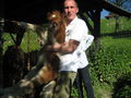 Tiere und kleine Tiere 59954530