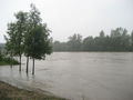 Hochwasser Ennsdorf Beach 61877319