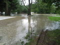 Hochwasser Ennsdorf Beach 61877406