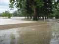 Hochwasser Ennsdorf Beach 61877422