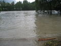 Hochwasser Ennsdorf Beach 61877465