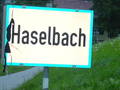 haselbach 7722061