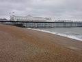 brighton 63660343