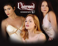 Charmed 16643441