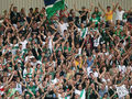 SK Rapid Wien und seine Ultras 42580351