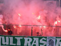 SK Rapid Wien und seine Ultras 42580361