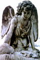 Angels 7104733