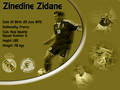 Zinedine Zidane 6968662