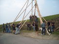 Maibaum aufstellen 64156790