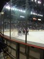 ICEHOGS GO!!!!!! 54676252