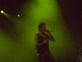 Papa Roach 2009 64083047